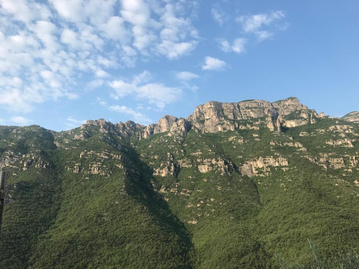 Bed and Breakfast Le Ciappe Castelbianco Terra Citr 9020-Beb-0003 Colletta Екстер'єр фото